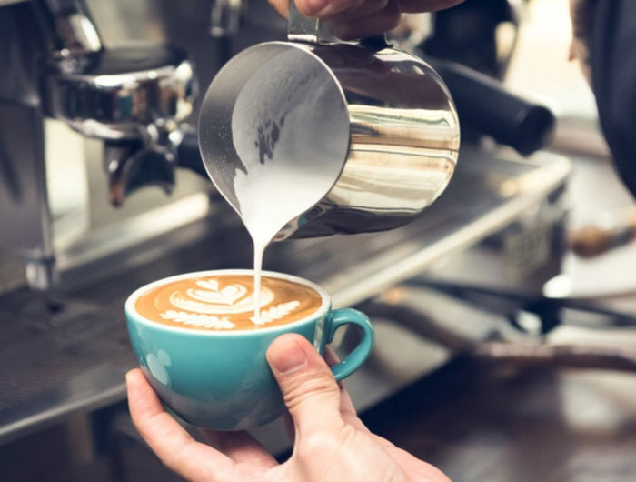 Bear Rista All barista supplies | All top brands! | APS supply – APS Glass & Bar ...