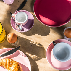 aps color servies – kleurrijk en duurzaam horeca servies van aps