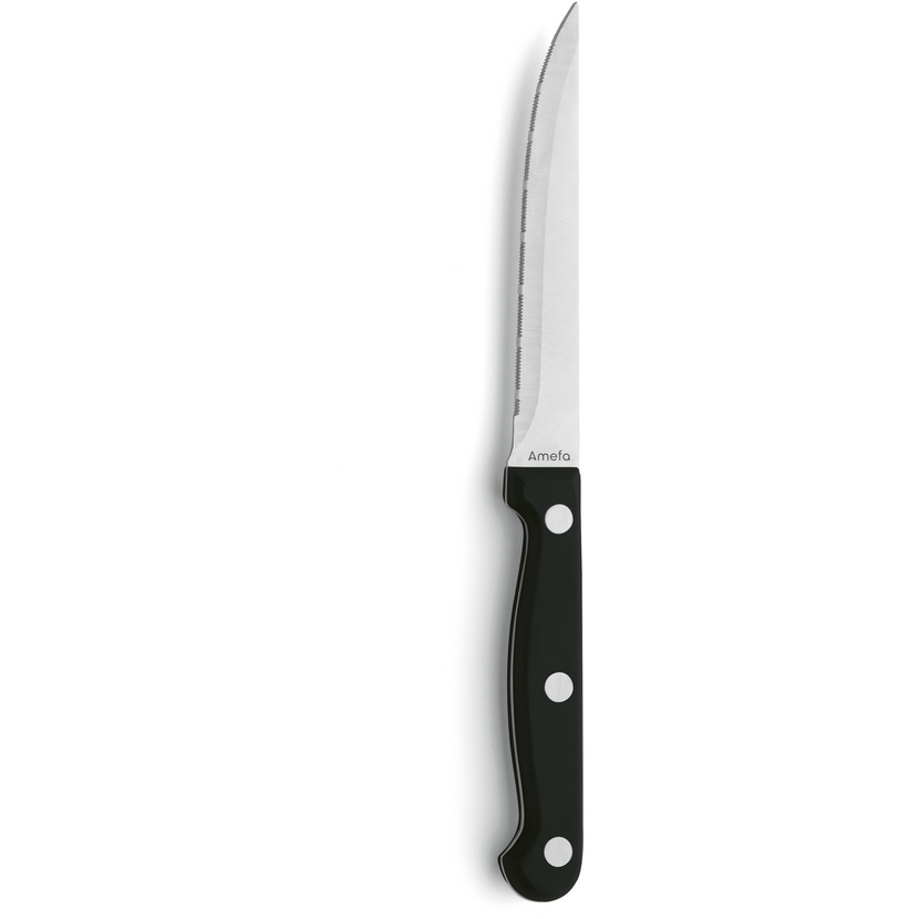 Steak knife with French serration 21.7 cm 12/box