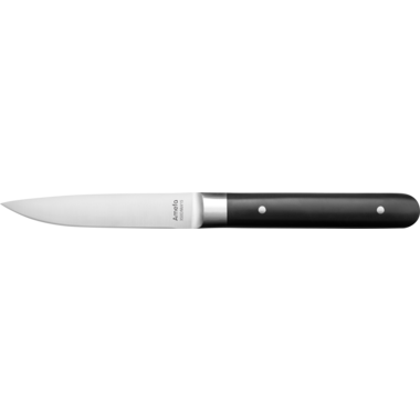 Fusion Steak knife 22 cm 6/box