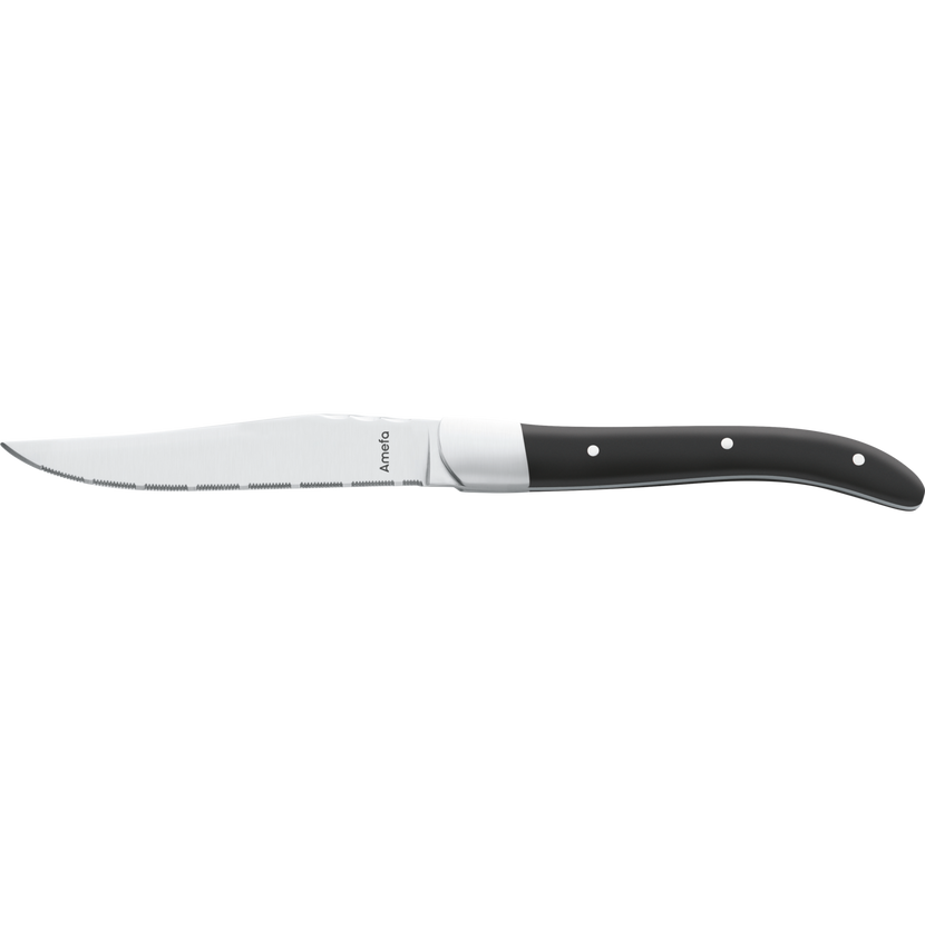 Royal Steak knife 25 cm 6/box