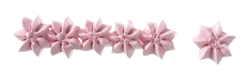 Spuitmondjes rvs set 5 assorti 1/box