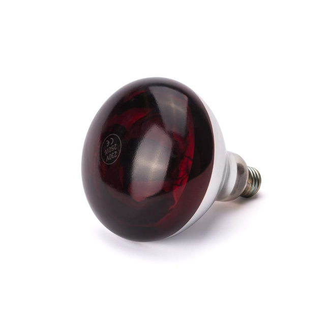Heat lamp infrared 250W red 1/box