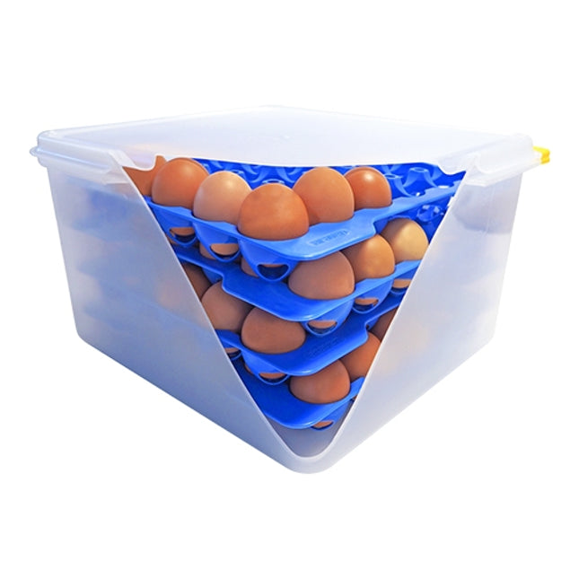 Egg storage box 2/3 GN, 8-Trays