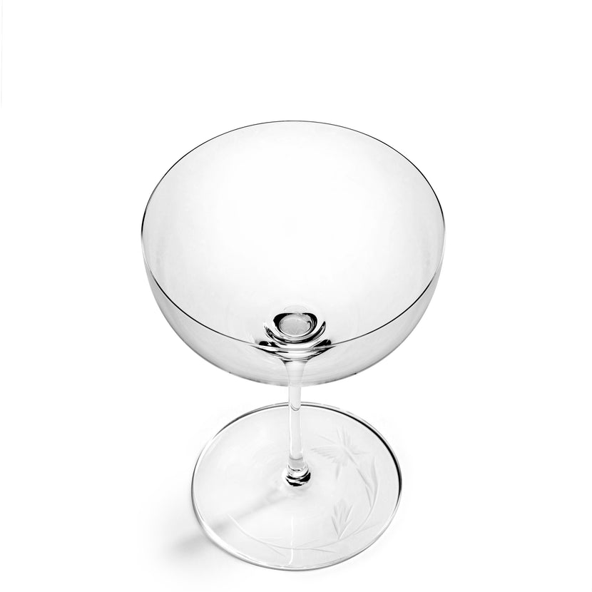 Tomorrowland Champagne Coupe Dragonfly 8/Box