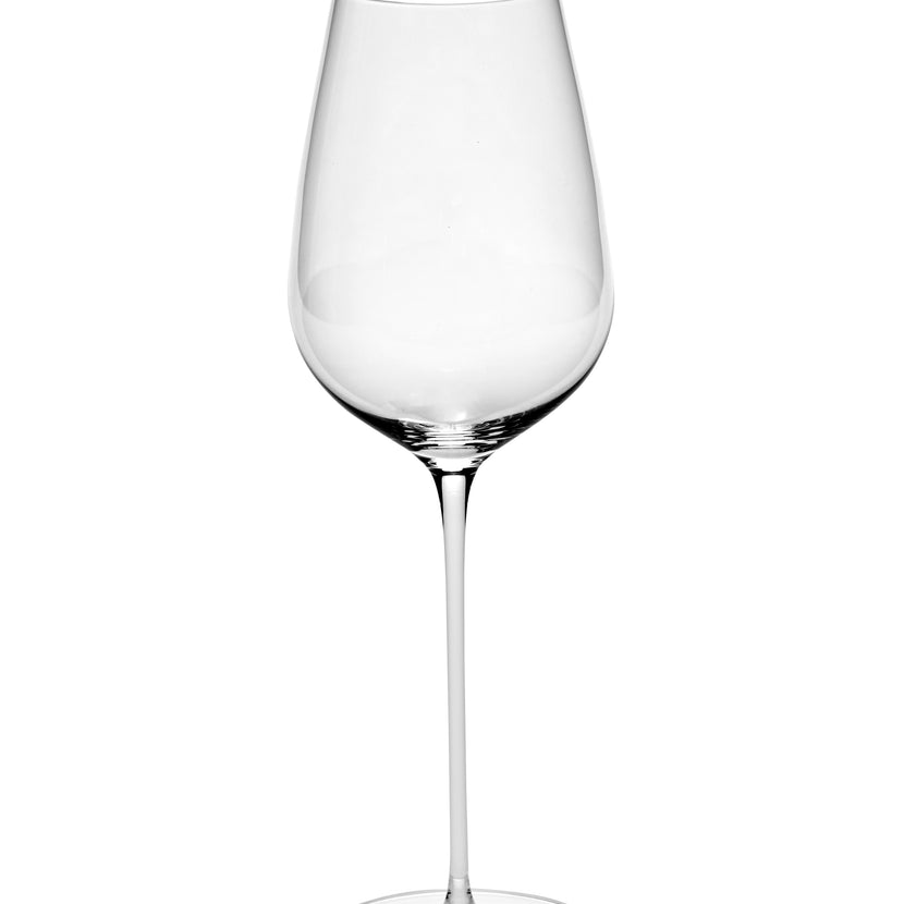 Tomorrowland Champagne Glass High Dragonfly 8/Box