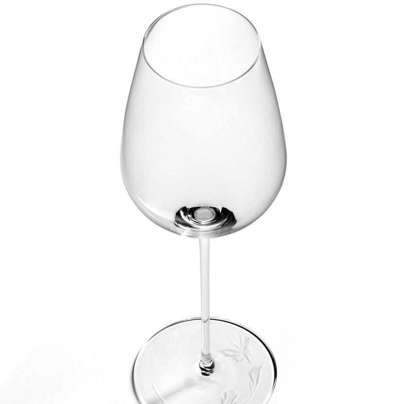 Tomorrowland Champagne Glass High Dragonfly 8/Box