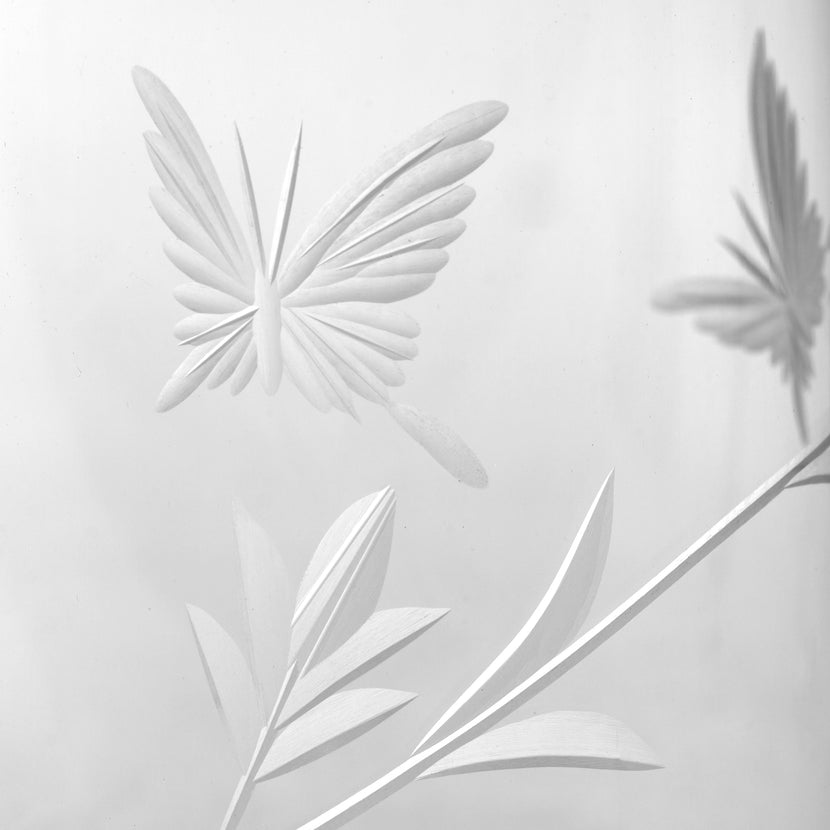 Tomorrowland Tea Cup Mandala 12/Box