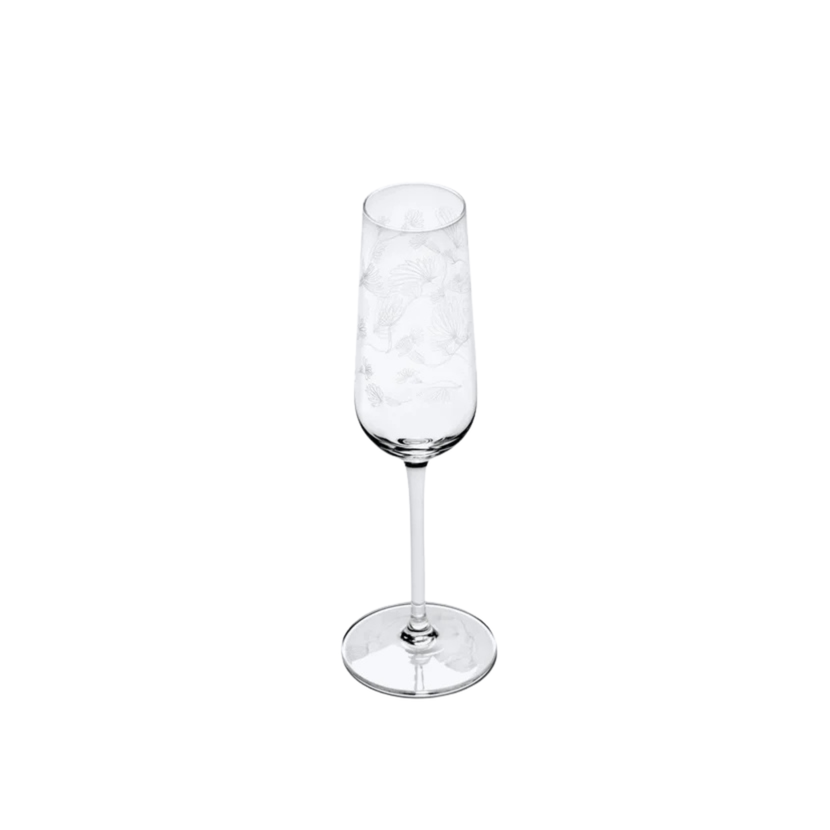 Champagne Flute Camelia Aubergine Mf 4/box