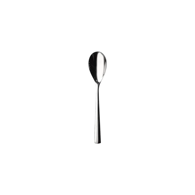 Evolve Dessert Spoon 18,5cm 12/box
