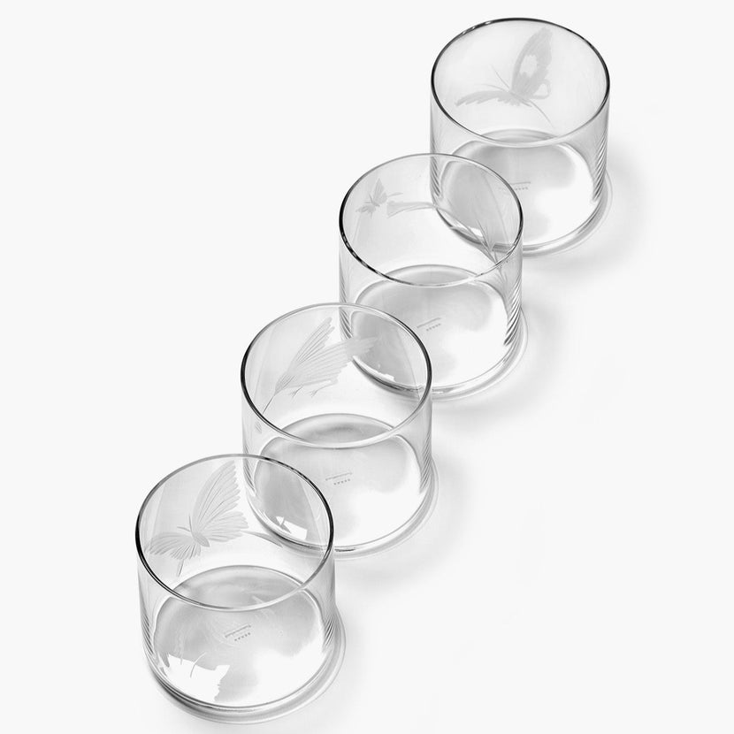 Tomorrowland Tumbler Different Engravements Ass/4 12/Box