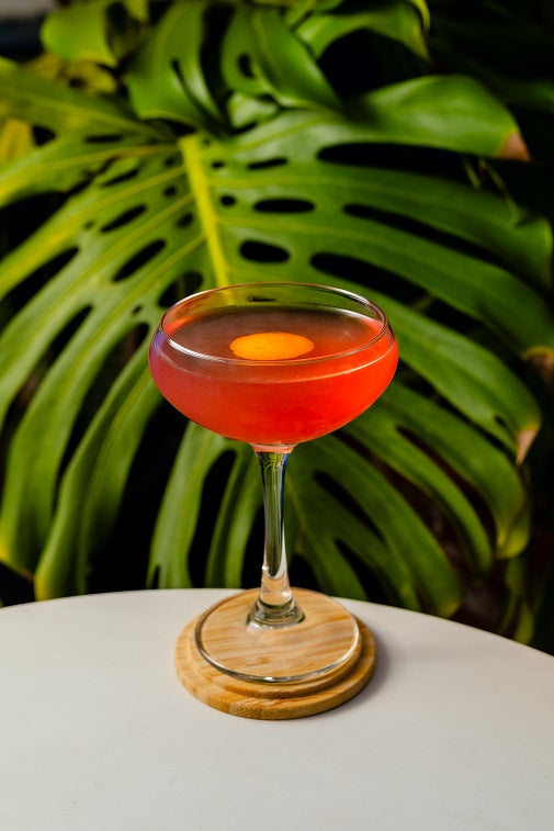 Onis Perfection Coupe 245 ml 6/box