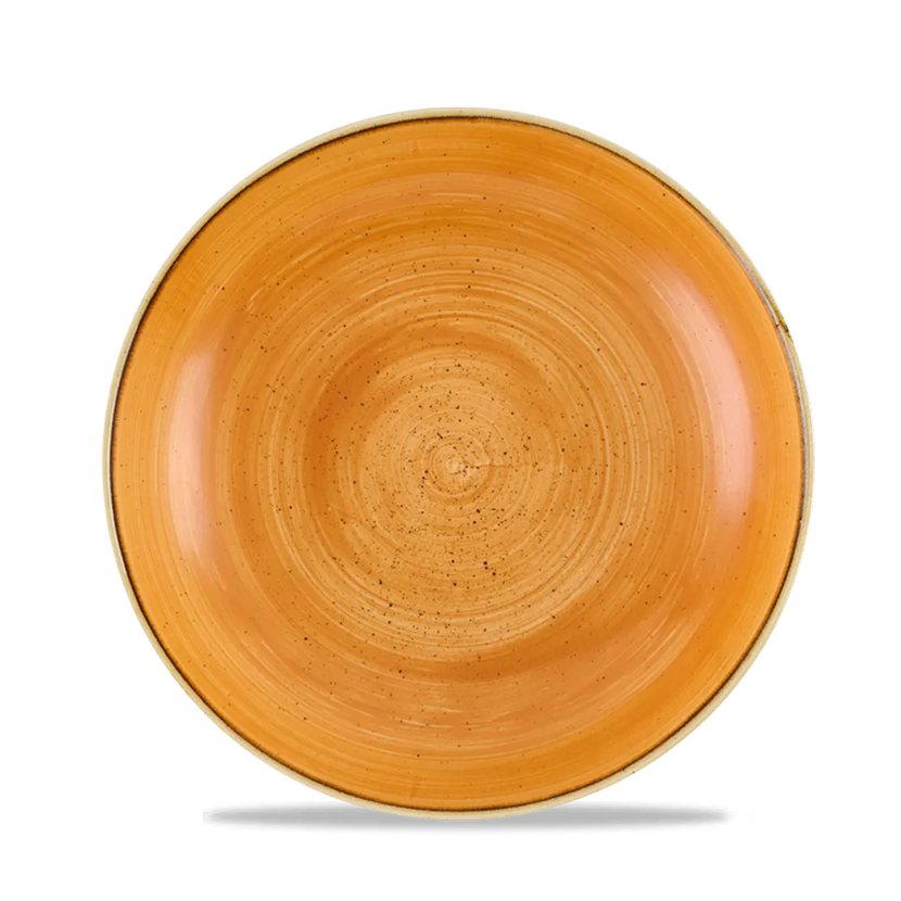 Stonecast Tangerine Evolve Coupe Bowl 24.8cm 12/box