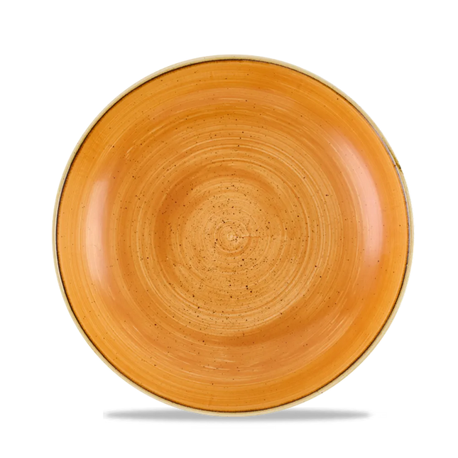 Stonecast Tangerine Evolve Coupe Bowl 24.8cm 12/box