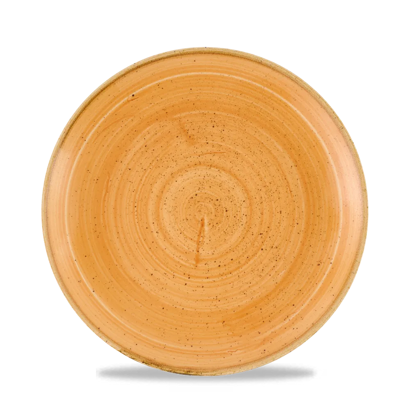 Stonecast Tangerine Evolve Coupe Plate 21.7cm 12/box