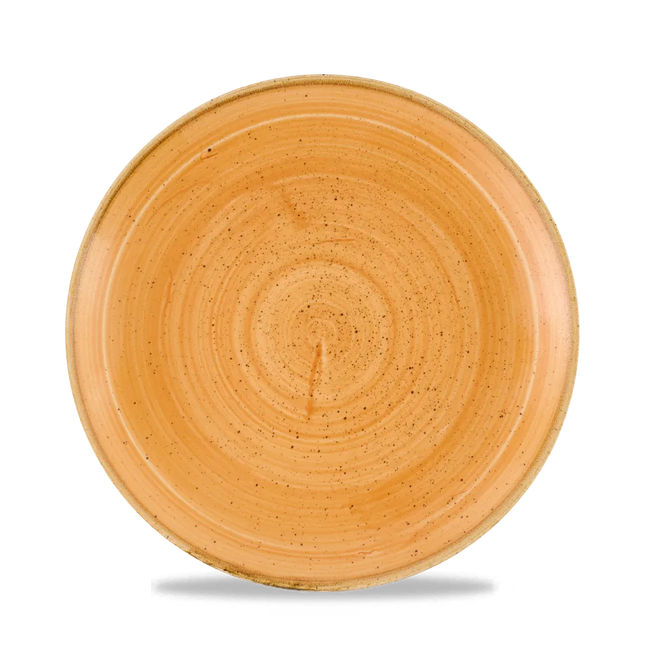 Stonecast Tangerine Evolve Coupe Plate 21.7cm 12/box
