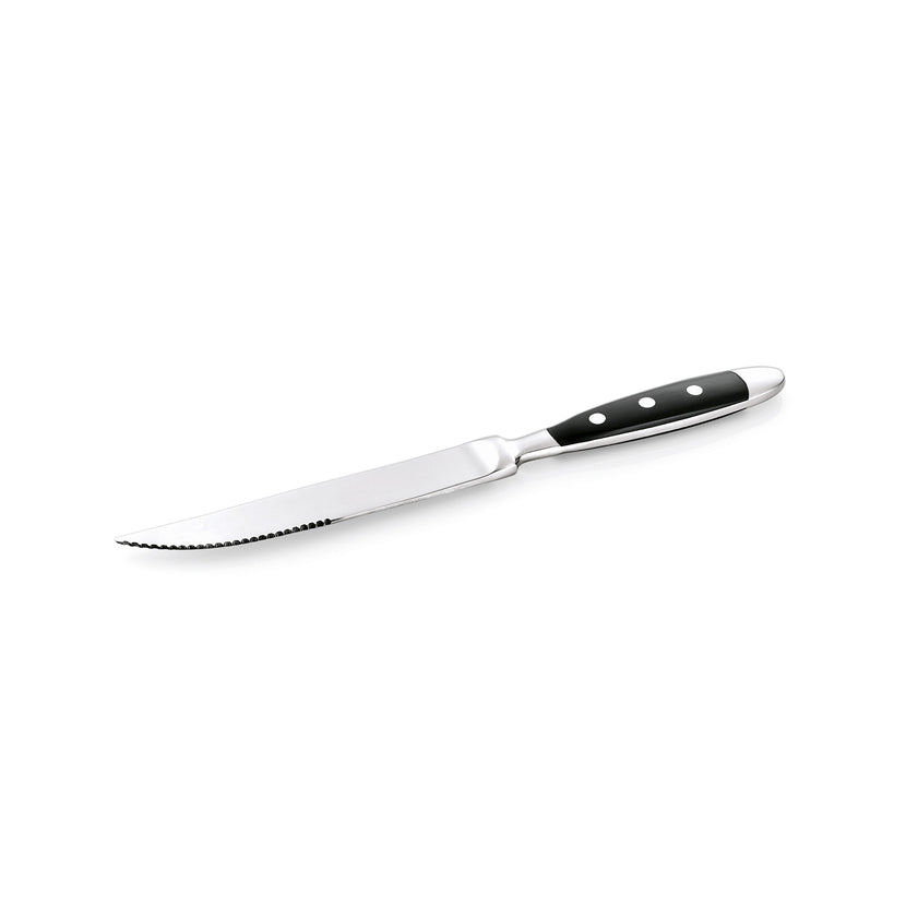 Steak knife Bistro stainless steel 21.5 cm 12/box