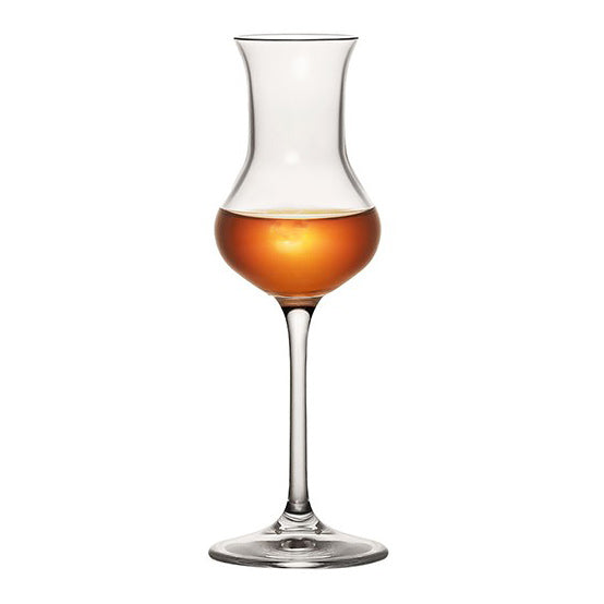 RCR Invino Grappa 8 cl 6/box