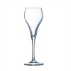 Brio Champagne glass 160 ml 6/box